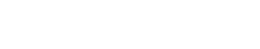 ACTION TECHNOLOGY SERVICES